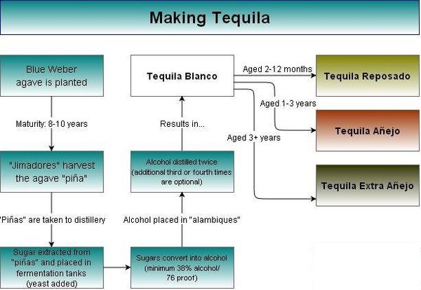 Making Tequila - A Simple Chart & Explanation