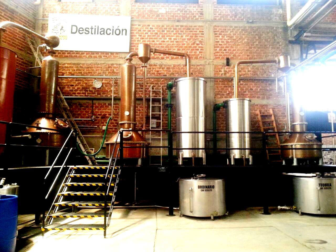 Fermentation to Distillation... Steps to make Tequila - 11080420 1655416401345932 9122844193462750554 O1