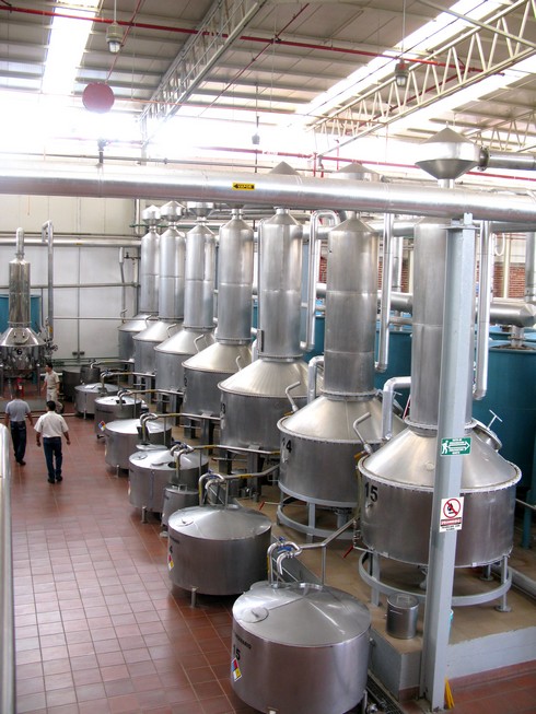 Fermentation to Distillation... Steps to make Tequila - 6a00e553b3Da208834013489916631970c