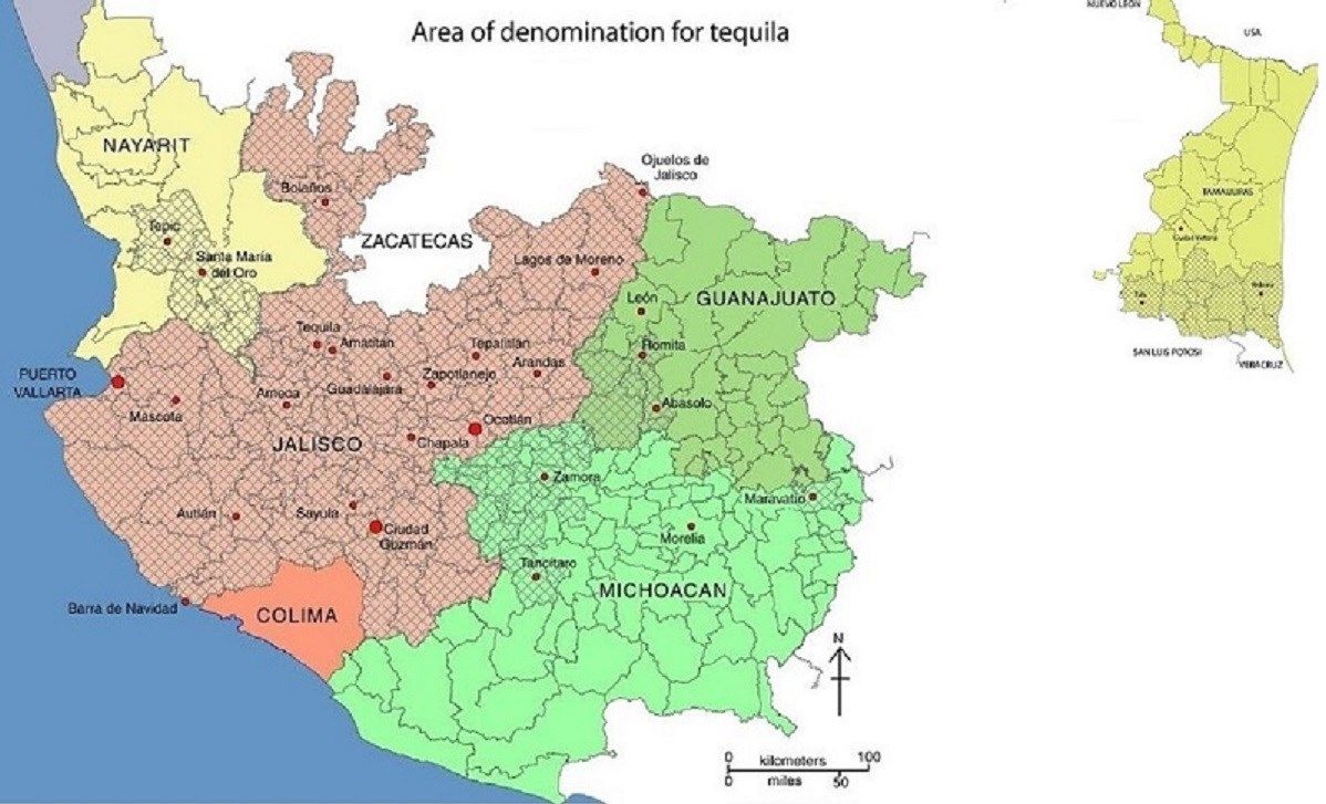 Tequila Regions - Highlands (Los Altos) & Lowlands (El Valle) - WHICH IS YOUR FAVORITE?