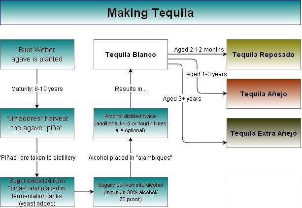 Making Tequila - A Simple Chart & Explanation